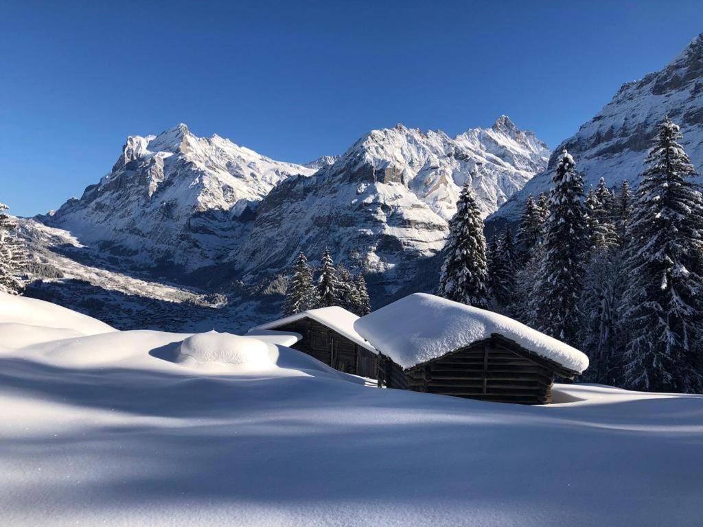 Chalet Caramelle Grindelwald Exterior foto